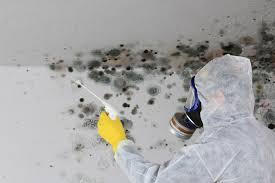 Best Attic Mold Removal  in Fox Chapel, PA